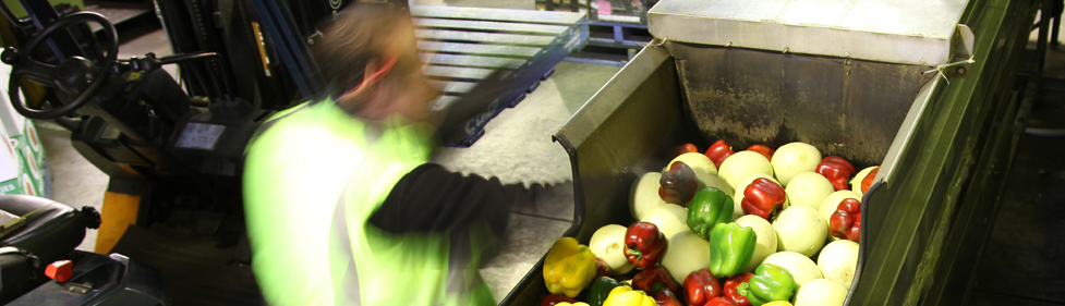 Flood spray dipping at Antico