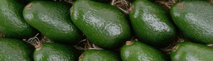 Avocados