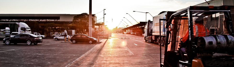 Antico warehouse and forklifts at sunrise